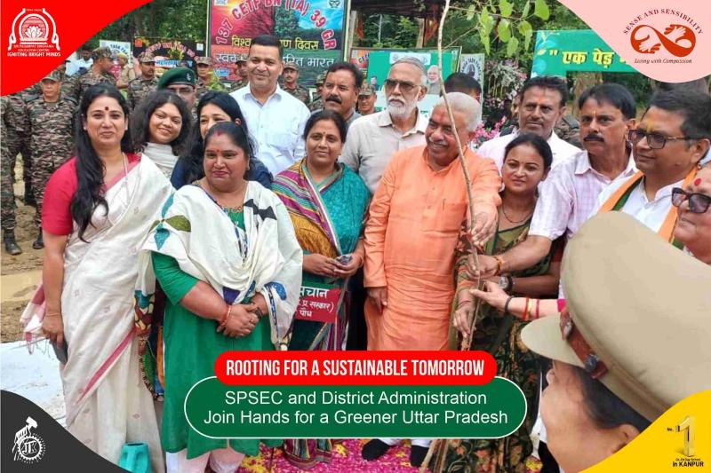 Plantation 2025