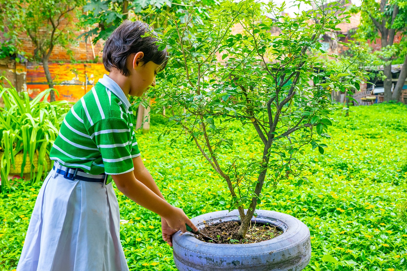 Gardenning-(1)